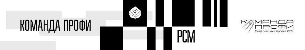 Команда ПРОФИ